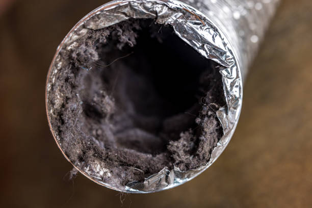 Best Local Air Duct Cleaning Services  in Glen Lyon, PA